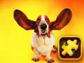 ເກມ Funny Dogs Puzzle