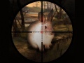 ເກມ Classical Rabbit Sniper Hunting 2019