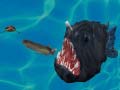 ເກມ Fish 3d
