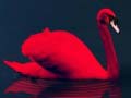 ເກມ Love Birds Puzzle