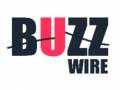 ເກມ Buzz Wire