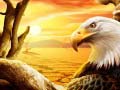 ເກມ Eagle