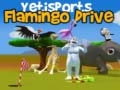 ເກມ Yetisports Flamingo Drive
