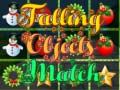 ເກມ Falling Objects Match 