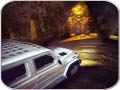 ເກມ Scary Car Driving Simulator