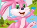 ເກມ Bunny Run