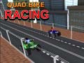 ເກມ Quad Bike Racing