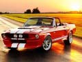 ເກມ Fancy Mustang Differences