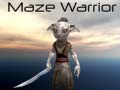 ເກມ Maze Warrior