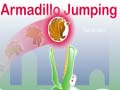 ເກມ Armadillo Jumping