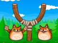 ເກມ Shot The Angry Cat