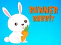 ເກມ Runner Rabbit