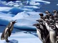 ເກມ Penguins Slide
