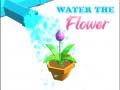 ເກມ Water The Flower