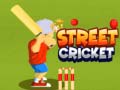 ເກມ Street Cricket