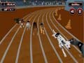 ເກມ Crazyl Dog Racing Fever