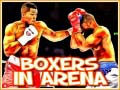 ເກມ Boxers in Arena