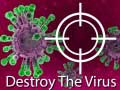 ເກມ Destroy The Virus