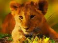 ເກມ Wild Baby Animals Jigsaw