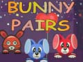 ເກມ Bunny Pairs