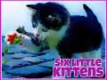 ເກມ Six Little Kittens