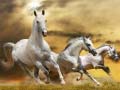 ເກມ Running Horse Slide