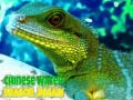 ເກມ Chinese Water Dragon Jigsaw