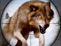 ເກມ Wild Animal Hunting