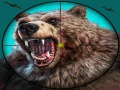 ເກມ Wild Bear Hunting