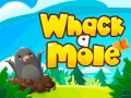 ເກມ Whack A Mole
