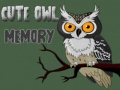 ເກມ Cute Owl Memory
