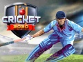 ເກມ Cricket 2020