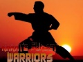 ເກມ Karate Sunset Warriors