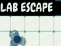 ເກມ Lab Escape