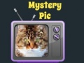 ເກມ Mystery Pic
