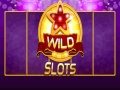ເກມ Wild Slot
