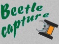 ເກມ Beetle Capture