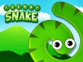 ເກມ Frenzy Snake
