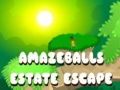 ເກມ Amazeballs Estate Escape