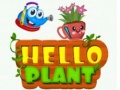 ເກມ Hello Plant 