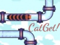 ເກມ CatGet!