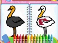 ເກມ Coloring Birds Game