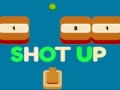 ເກມ Shot Up