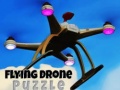 ເກມ Flying Drone Puzzle
