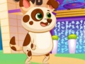 ເກມ Lovely Virtual Dog