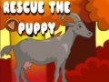 ເກມ Rescue The Puppy