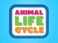 ເກມ Animal Life Cycle