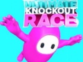 ເກມ Ultimate Knockout Race