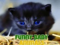 ເກມ Funny Baby Animals