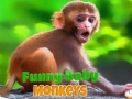 ເກມ Funny Baby Monkey